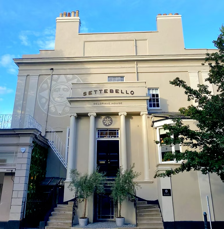 Celebrating Local Brilliance: Premier Business Spotlight