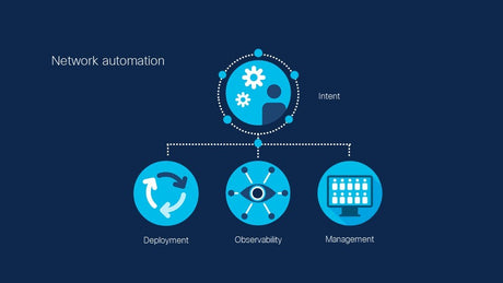 How to Create Custom Scripts for Automating Network Tasks