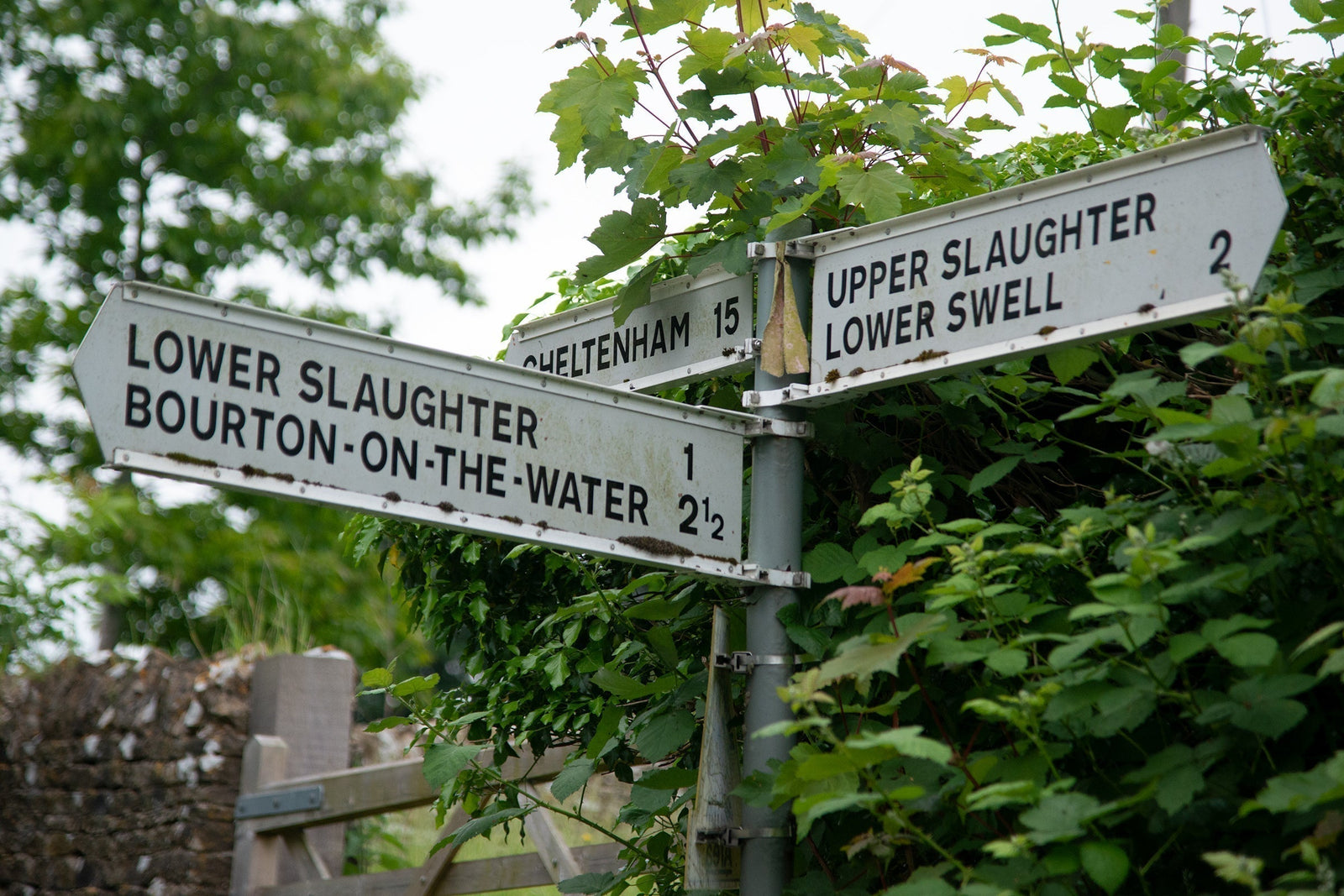 How We Connected a Veterinary Practice in Stow-on-the-Wold with Bridge Wi-Fi and Mobile Failover