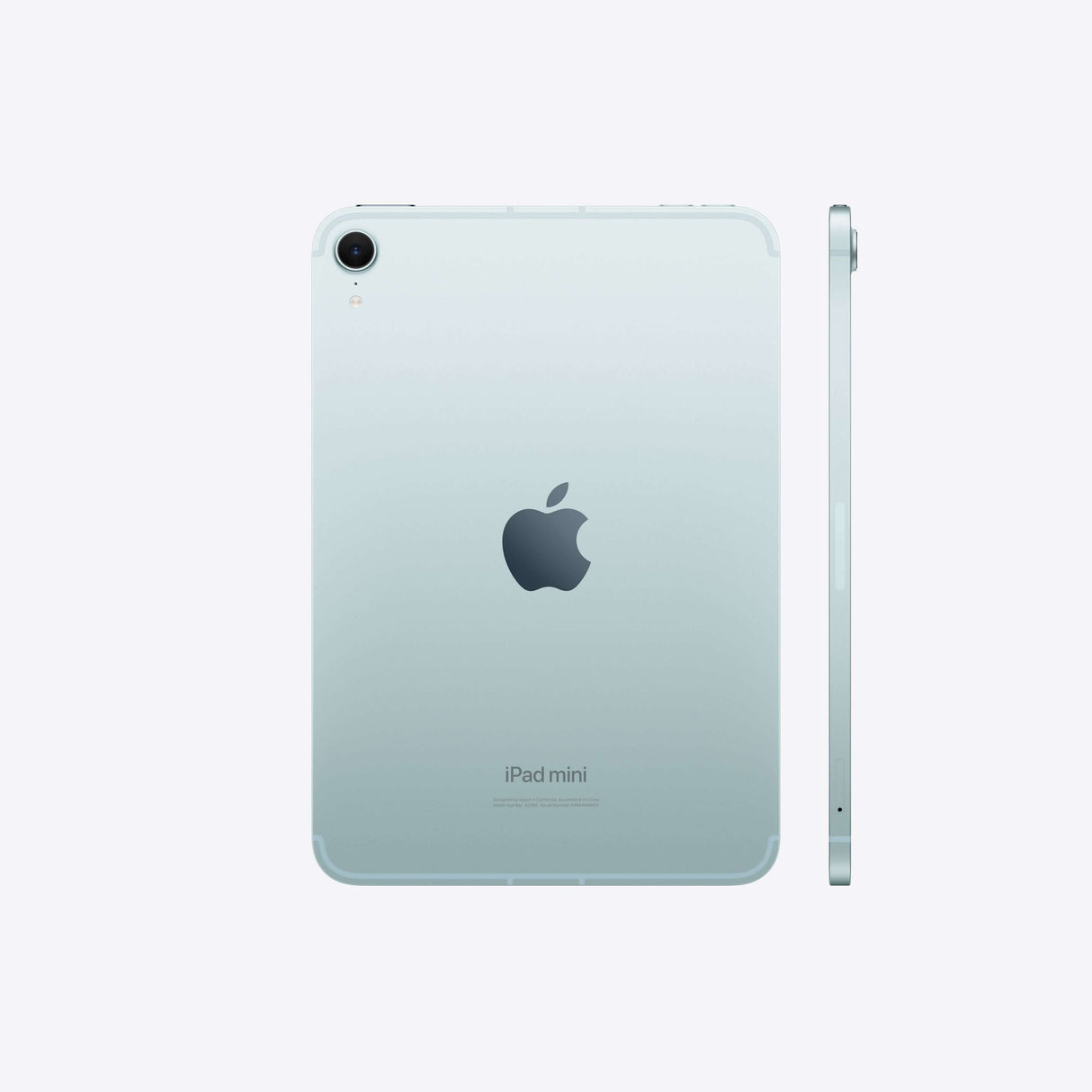 iPad mini - Blue - Premier Technology